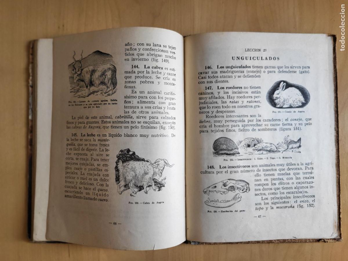 Libros de segunda mano: CIENCIAS FISICONATURALES PRIMER GRADO - Foto 24