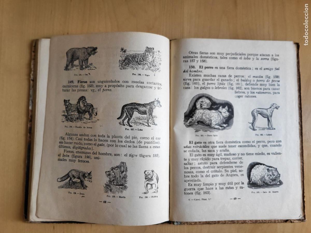 Libros de segunda mano: CIENCIAS FISICONATURALES PRIMER GRADO - Foto 25