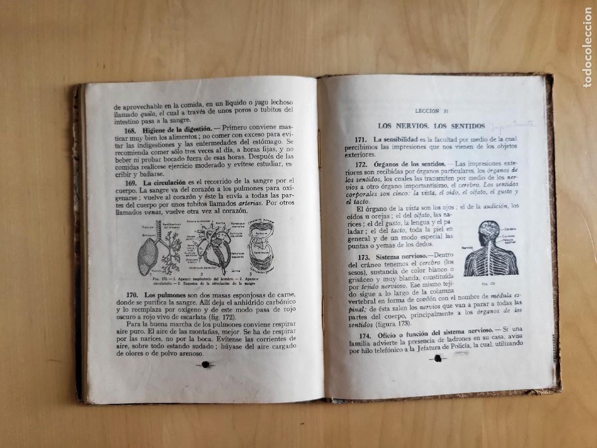 Libros de segunda mano: CIENCIAS FISICONATURALES PRIMER GRADO - Foto 29