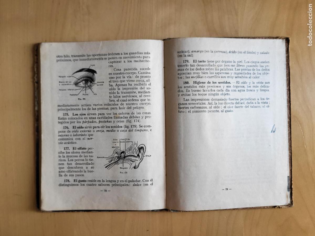 Libros de segunda mano: CIENCIAS FISICONATURALES PRIMER GRADO - Foto 30