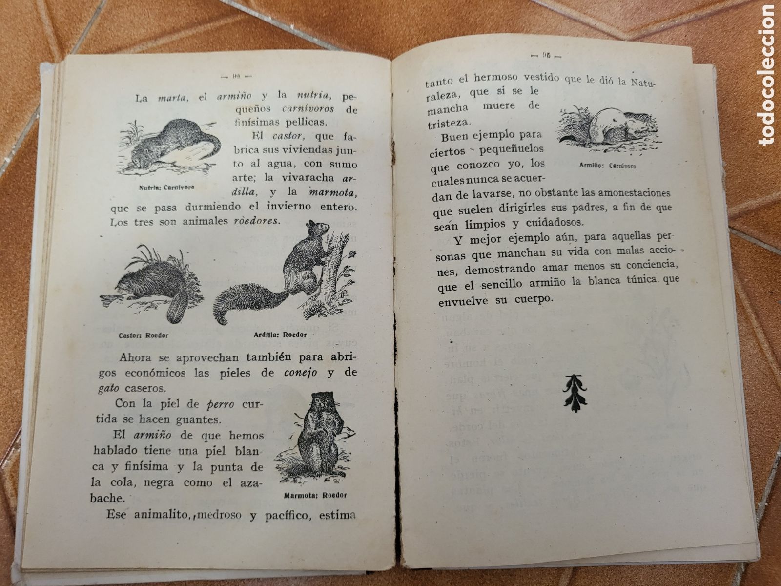 Libros de segunda mano: LO QUE NOS RODEA. MANUEL MARINEL&middot;LO. 1943. - Foto 6
