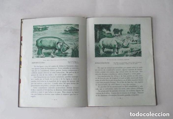 Libros de segunda mano: FIERAS - M. MAS SALA - Foto 3