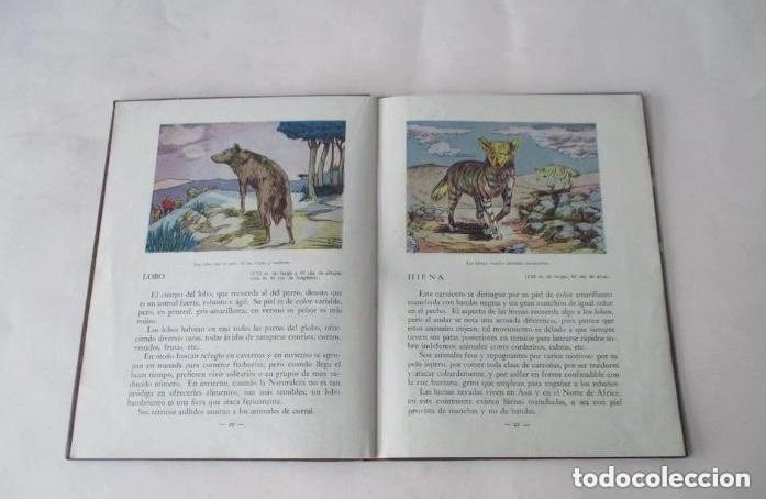 Libros de segunda mano: FIERAS - M. MAS SALA - Foto 4