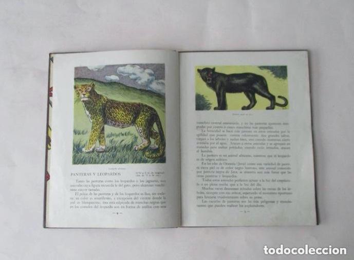 Libros de segunda mano: FIERAS - M. MAS SALA - Foto 5