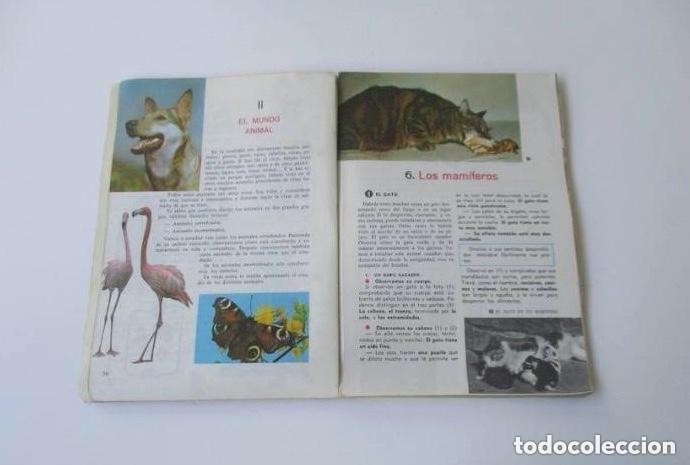 Libros de segunda mano: NATURALEZA Y CIENCIA - QUINTO CURSO - Foto 3