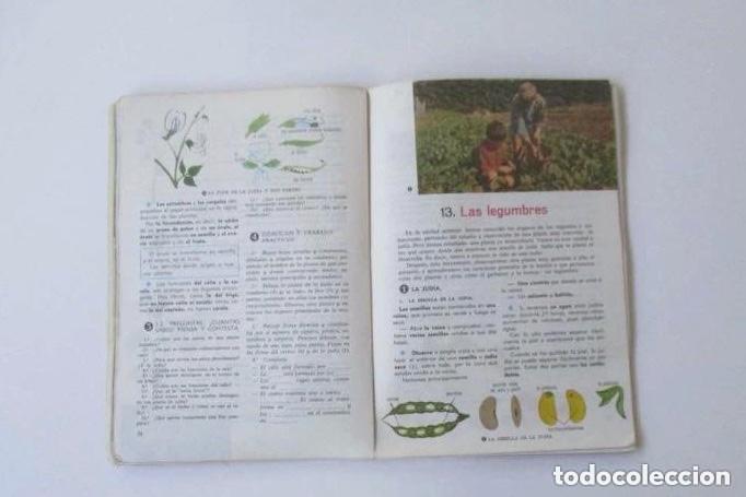 Libros de segunda mano: NATURALEZA Y CIENCIA - QUINTO CURSO - Foto 4