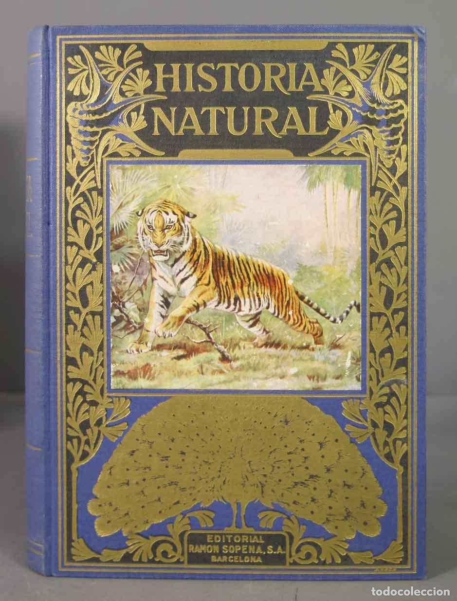 Libros de segunda mano: HISTORIA NATURAL. SOPENA. 1956 - Foto 1