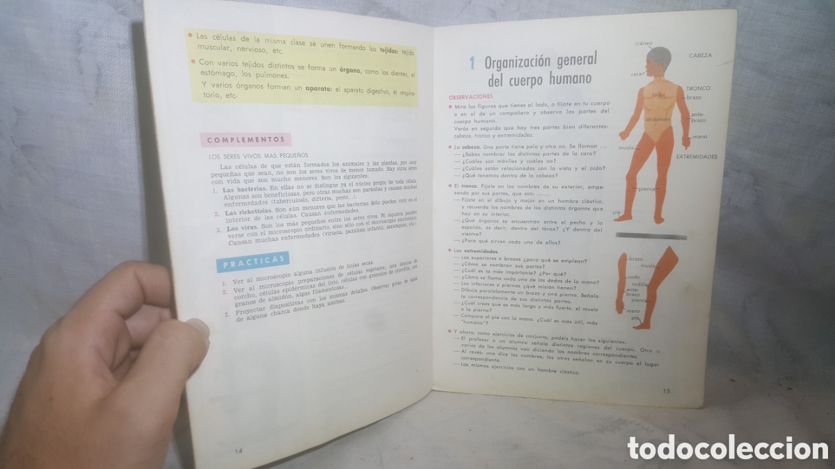 Libros de segunda mano: CIENCIAS NATURALES DE 2&deg; CURSO EDICIONES S.M. - Foto 5