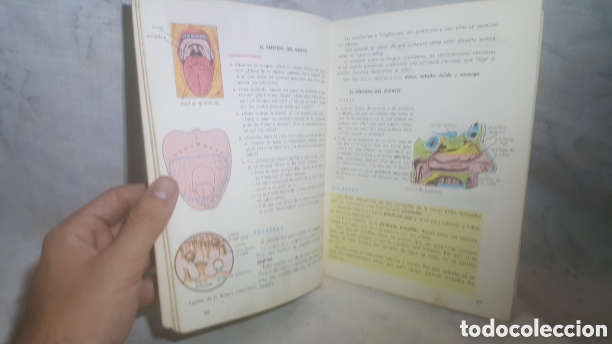 Libros de segunda mano: CIENCIAS NATURALES DE 2&deg; CURSO EDICIONES S.M. - Foto 6