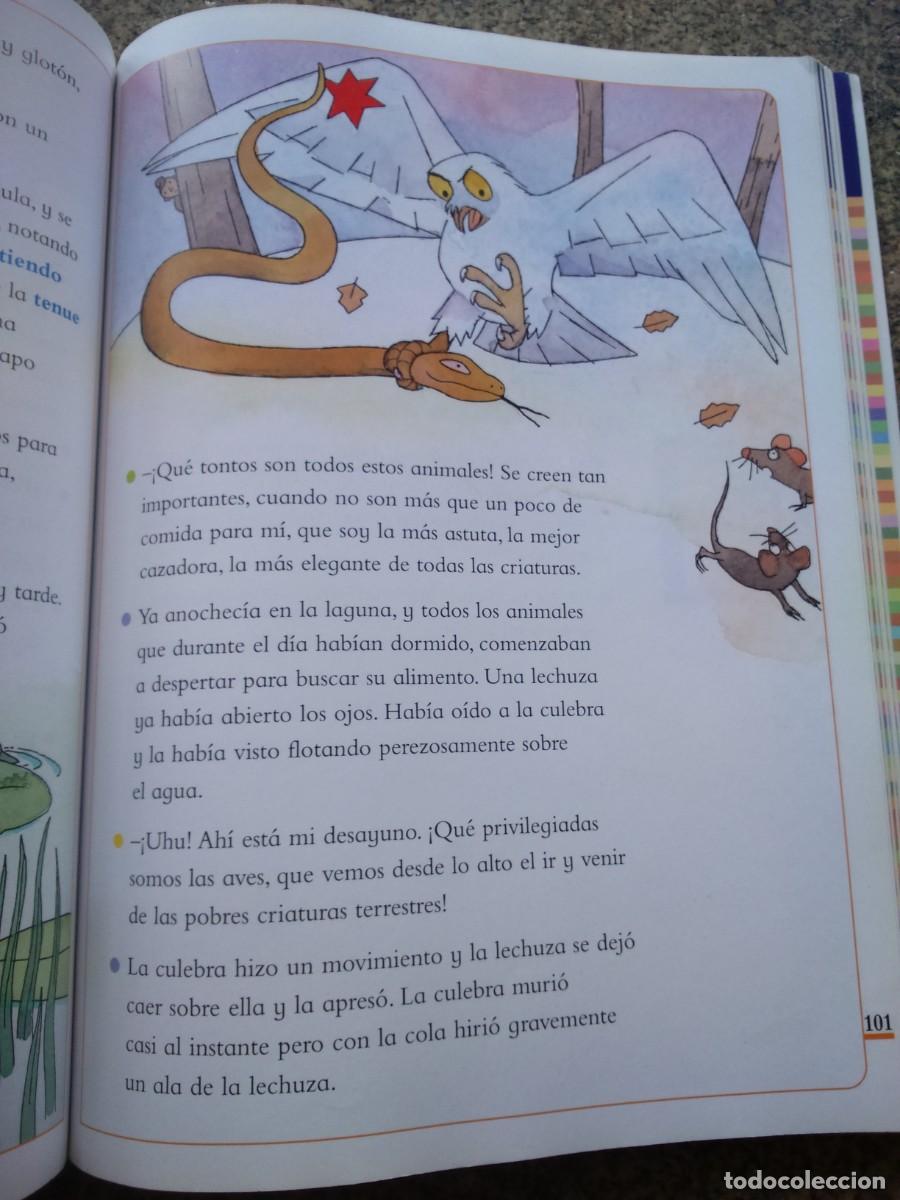 Libros de segunda mano: LECTURAS PARA TROTAMUNDOS -- PRIMARIA -- EDICIONES SM -- - Foto 2