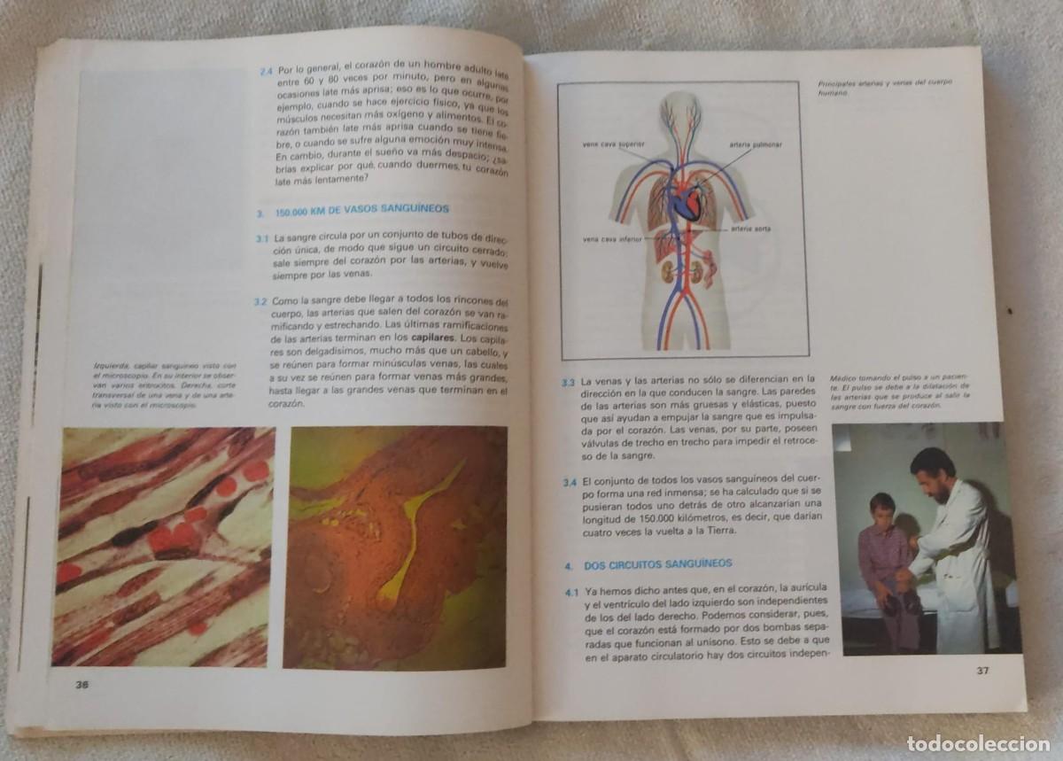 Libros de segunda mano: PLANETA-6. - Foto 4