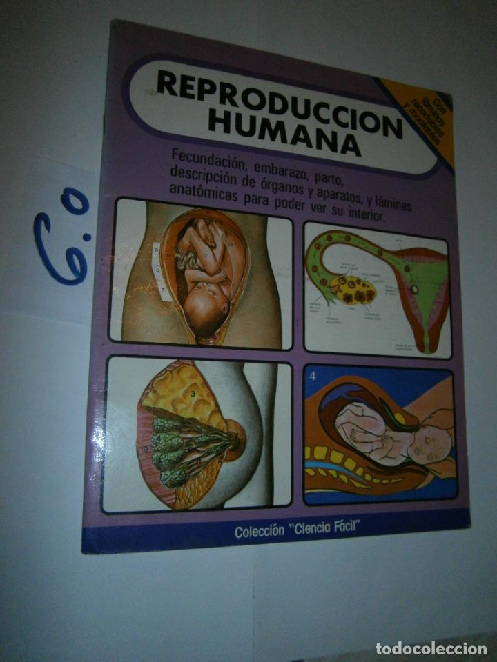 Second hand books: ANTIGUO LIBRO DE TEXTO - LA REPRODUCCION HUMANA (CON RECORTABLES MONTADOS)