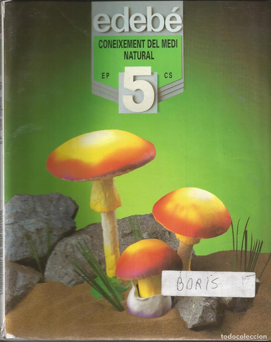 Libros de segunda mano: [LIBRO DE TEXTO] Coneixement del medi 5&ordm; EP Edeb&eacute; - 1998 En catal&agrave; - Foto 1