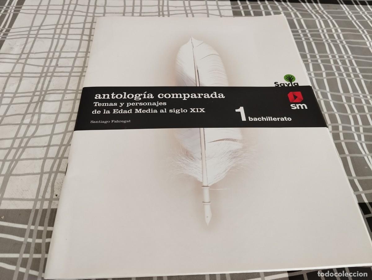 Libros de segunda mano: MANTOLOGIA COMPARADA TEMAS Y PERSONAJES DE LA EDAD MEDIA AL SIGLO XIX 1 BACHILLERATO
