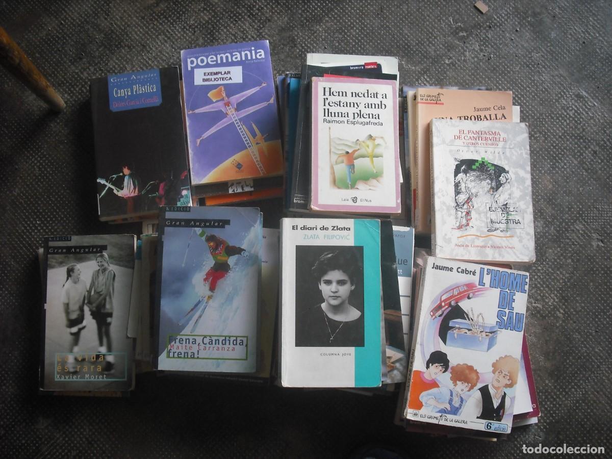 Libros de segunda mano: Libros de ESO y adolescentes - Foto 1