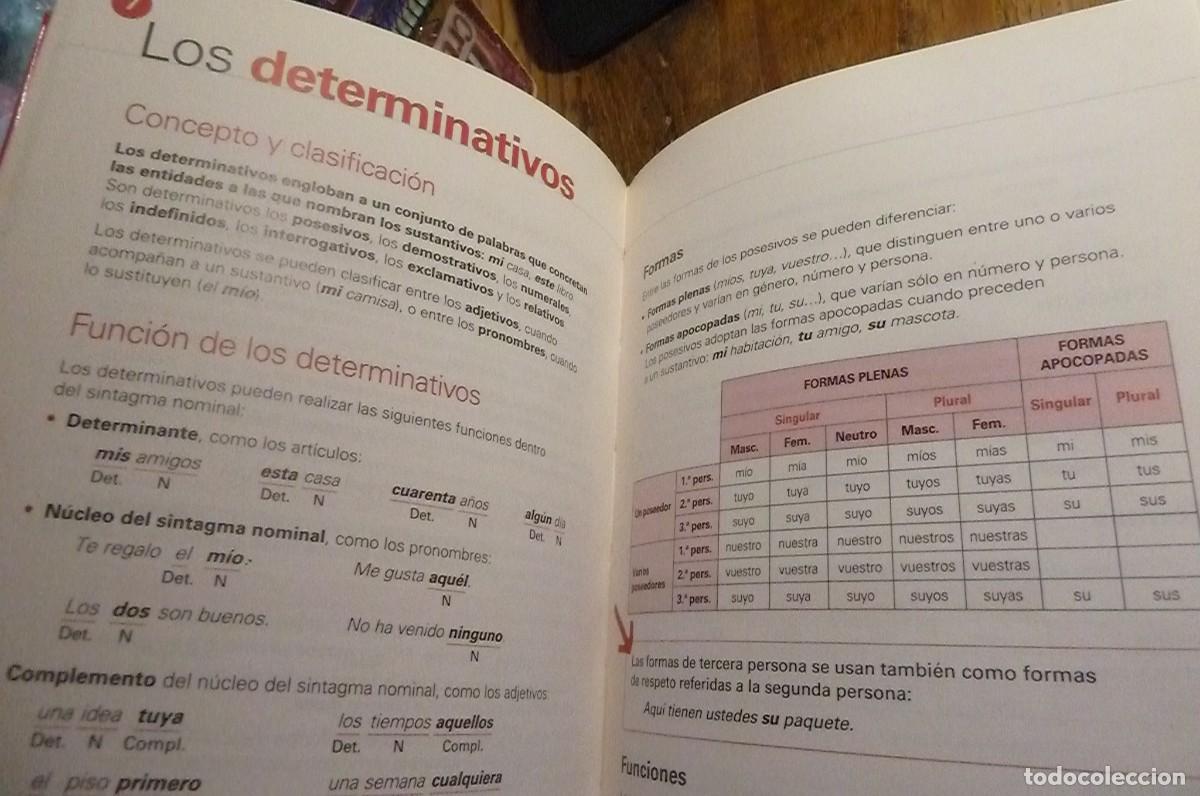 Libros de segunda mano: Gramatica y Ortograf&iacute;a. Santillana 2004 - Foto 5