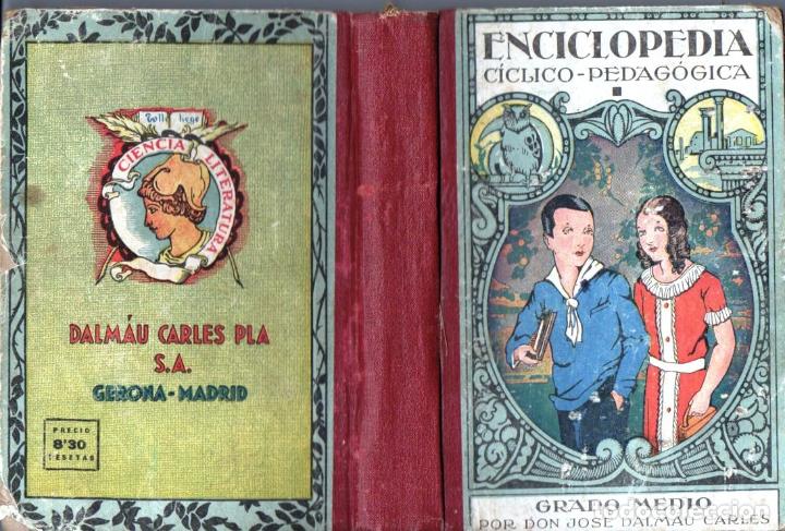 Libros de segunda mano: DALMAU CARLES : ENCICLOPEDIA CICLICO PEDAGOGICA GRADO MEDIO 1943