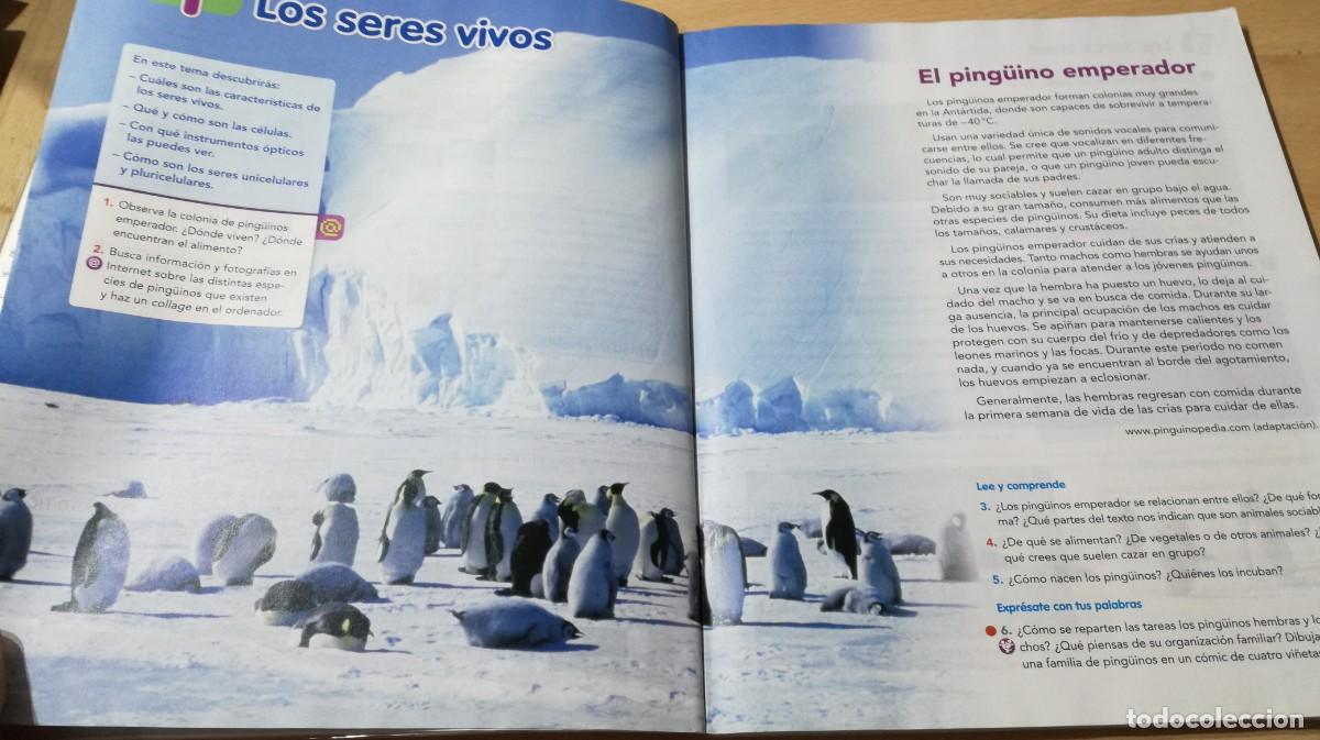Libros de segunda mano: NATURALES 5 / VICENS VIVES / ALL37 - Foto 7