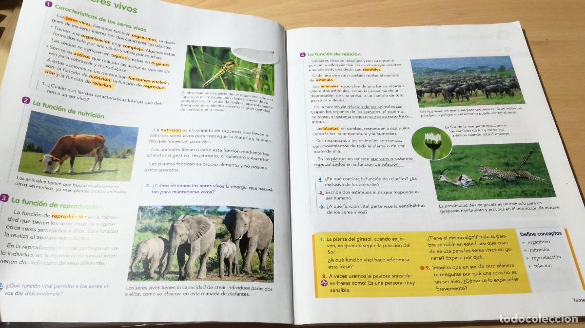 Libros de segunda mano: NATURALES 5 / VICENS VIVES / ALL37 - Foto 8
