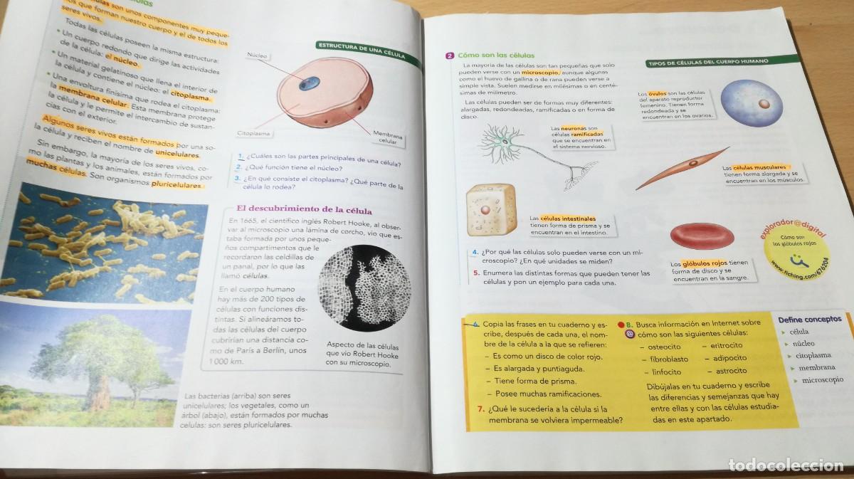 Libros de segunda mano: NATURALES 5 / VICENS VIVES / ALL37 - Foto 9