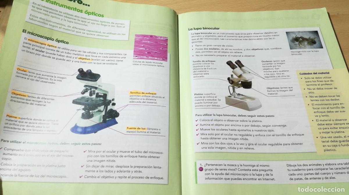 Libros de segunda mano: NATURALES 5 / VICENS VIVES / ALL37 - Foto 10