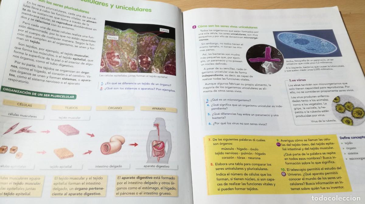Libros de segunda mano: NATURALES 5 / VICENS VIVES / ALL37 - Foto 11