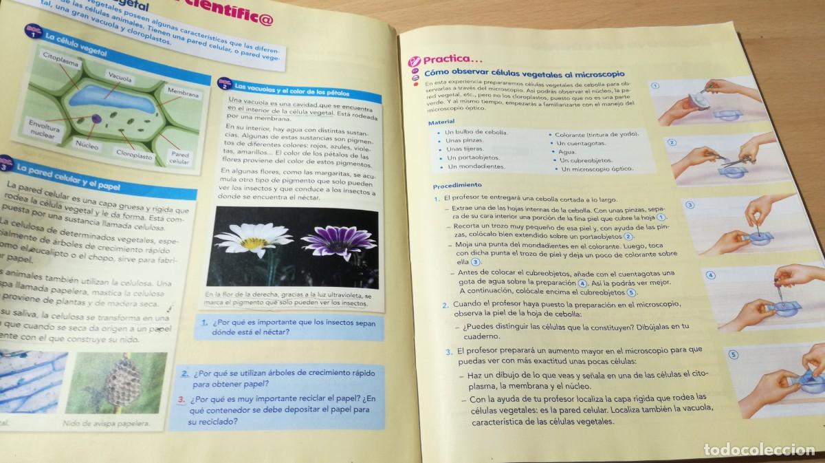 Libros de segunda mano: NATURALES 5 / VICENS VIVES / ALL37 - Foto 12