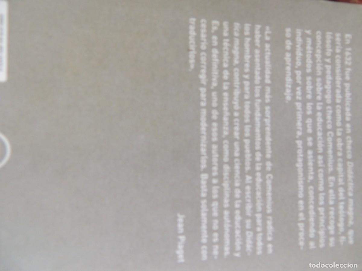 Libros de segunda mano: DIDACTICA MAGNA, COMENIUS. BOLSILLO 2012, 329PP. - Foto 2