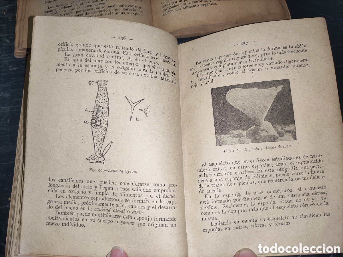 Libros de segunda mano: Ciencias Cosmol&oacute;gicas. - Foto 9