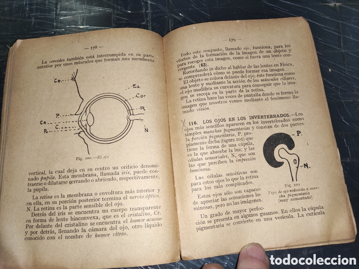 Libros de segunda mano: Ciencias Cosmol&oacute;gicas. - Foto 10