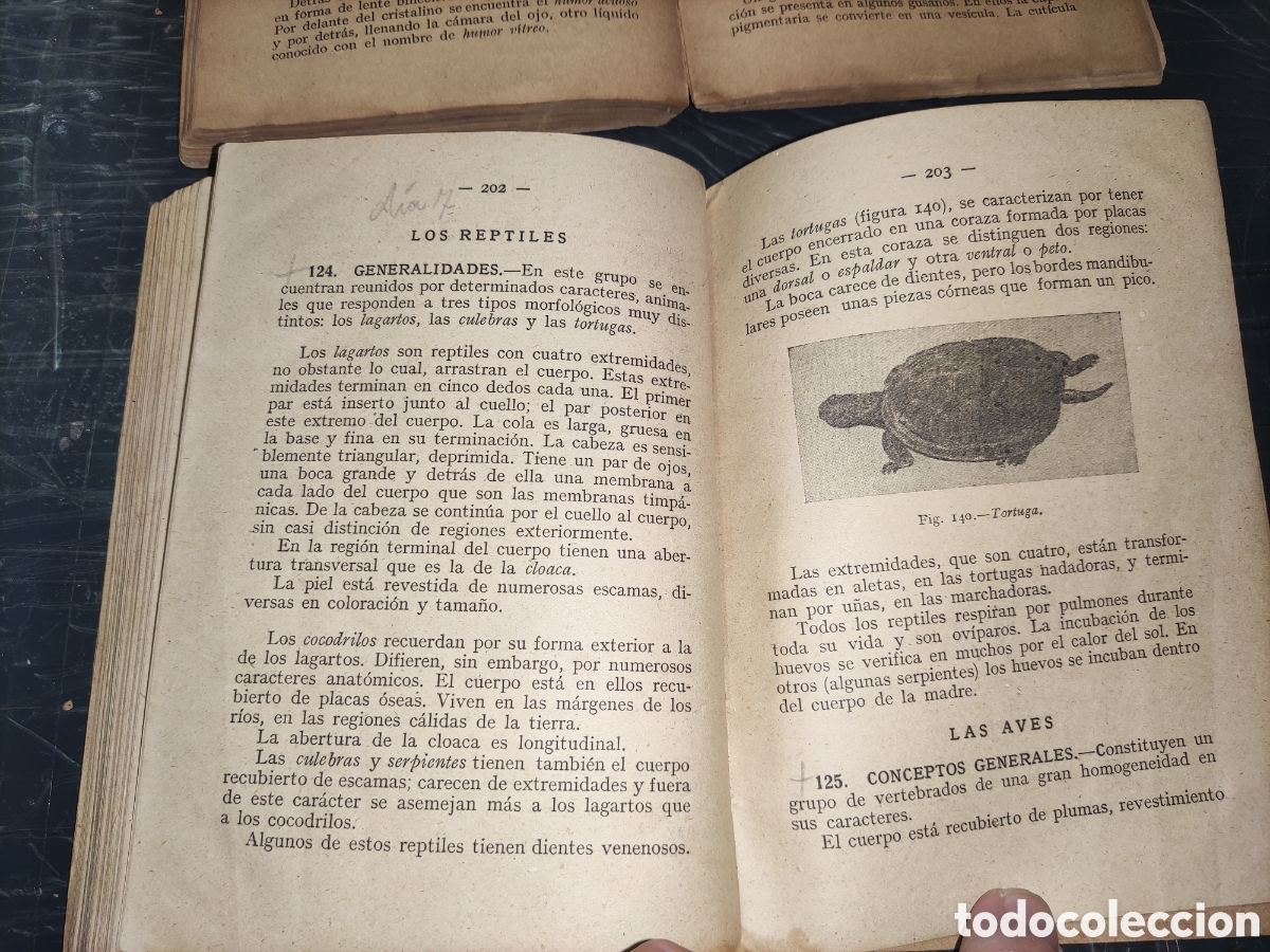 Libros de segunda mano: Ciencias Cosmol&oacute;gicas. - Foto 11