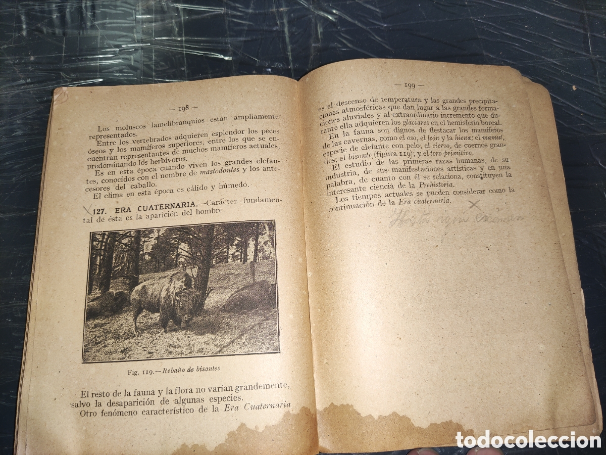 Libros de segunda mano: Ciencias Cosmol&oacute;gicas. - Foto 12