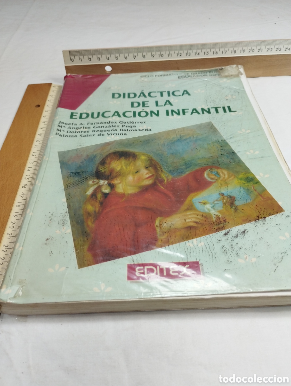 Libros de segunda mano: Did&aacute;ctica de la educaci&oacute;n infantil. Editex, 1994 KKB - Foto 1