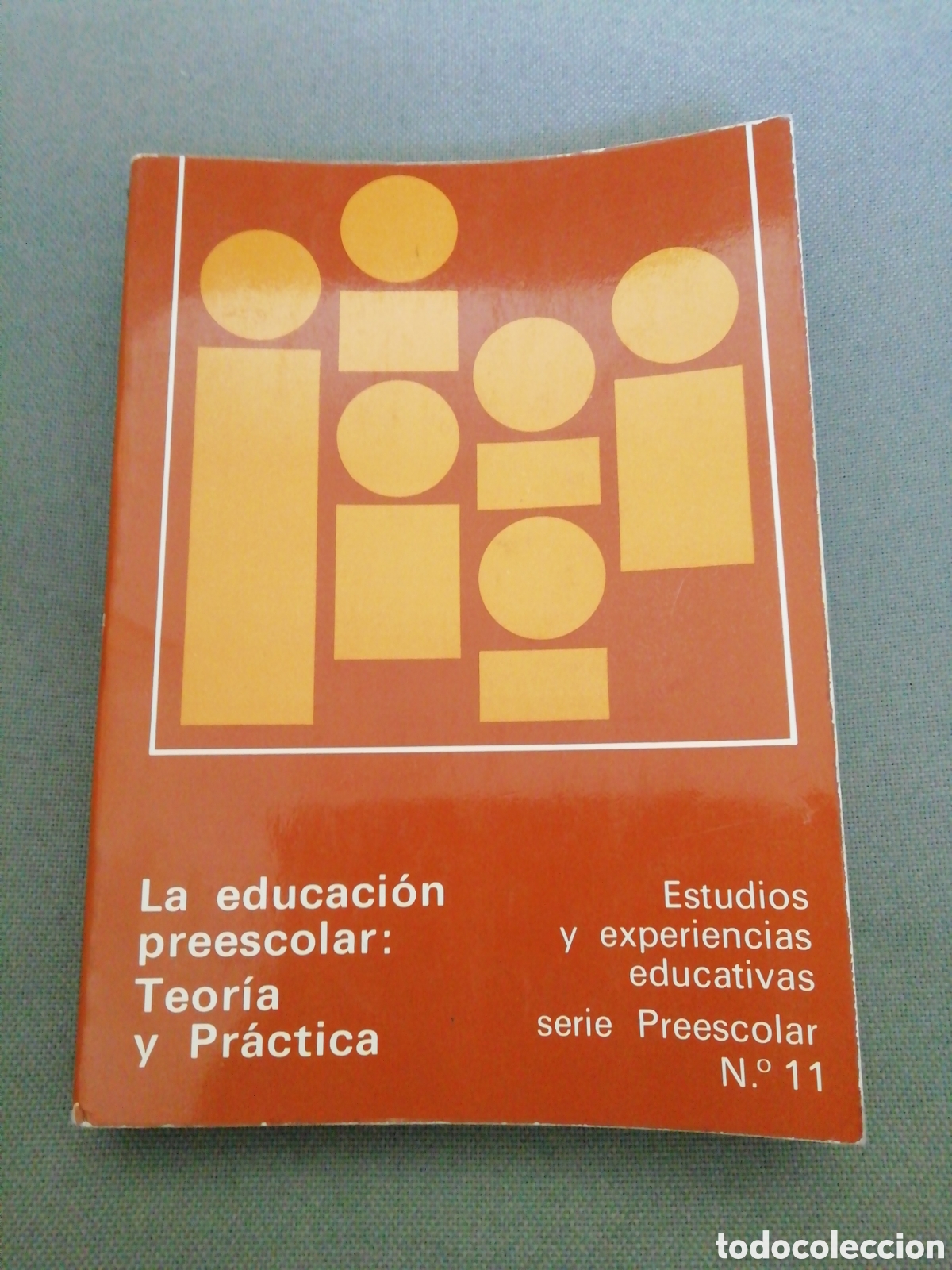 Libros de segunda mano: La Educaci&oacute;n Preescolar: Teor&iacute;a y Pr&aacute;ctica - A&ntilde;o 1982 - Foto 1