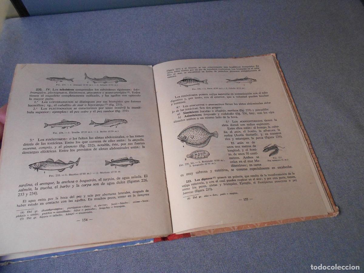 Libros de segunda mano: CIENCIAS NATURALES. 4&ordm; CURSO - Foto 5