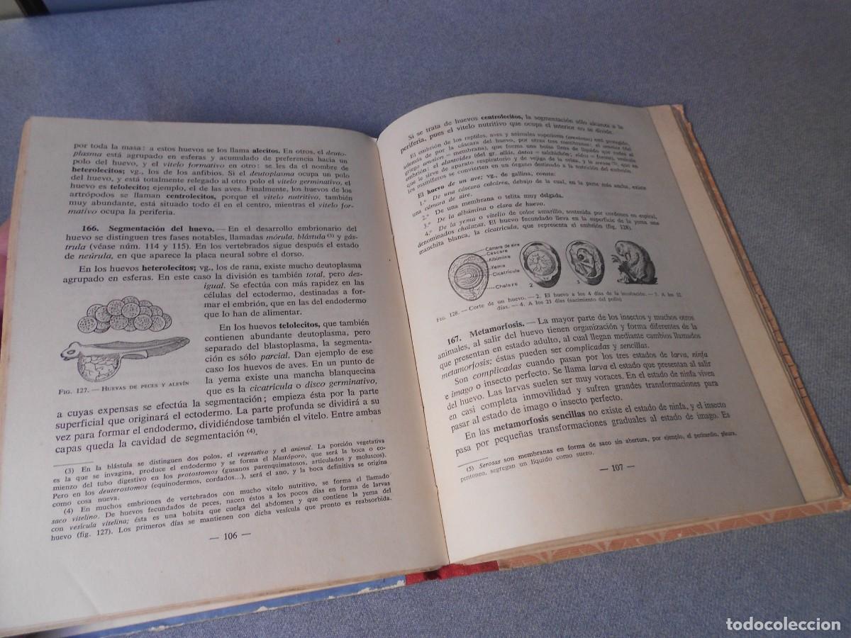 Libros de segunda mano: CIENCIAS NATURALES. 4&ordm; CURSO - Foto 7