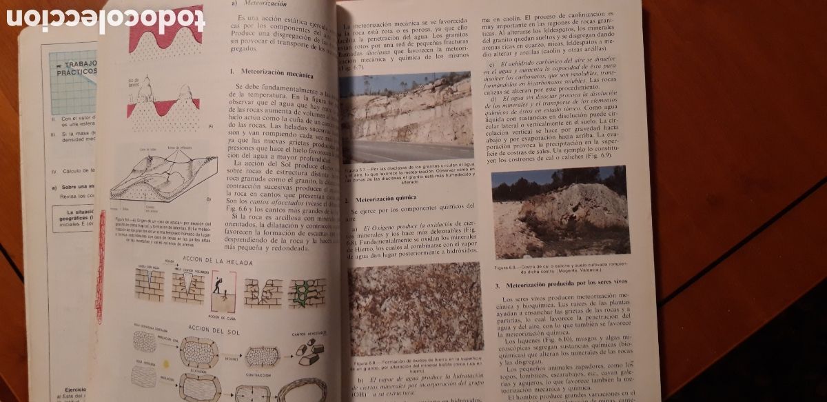 Libros de segunda mano: CIENCIAS NATURALES - 1 BUP - ECIR - Foto 9
