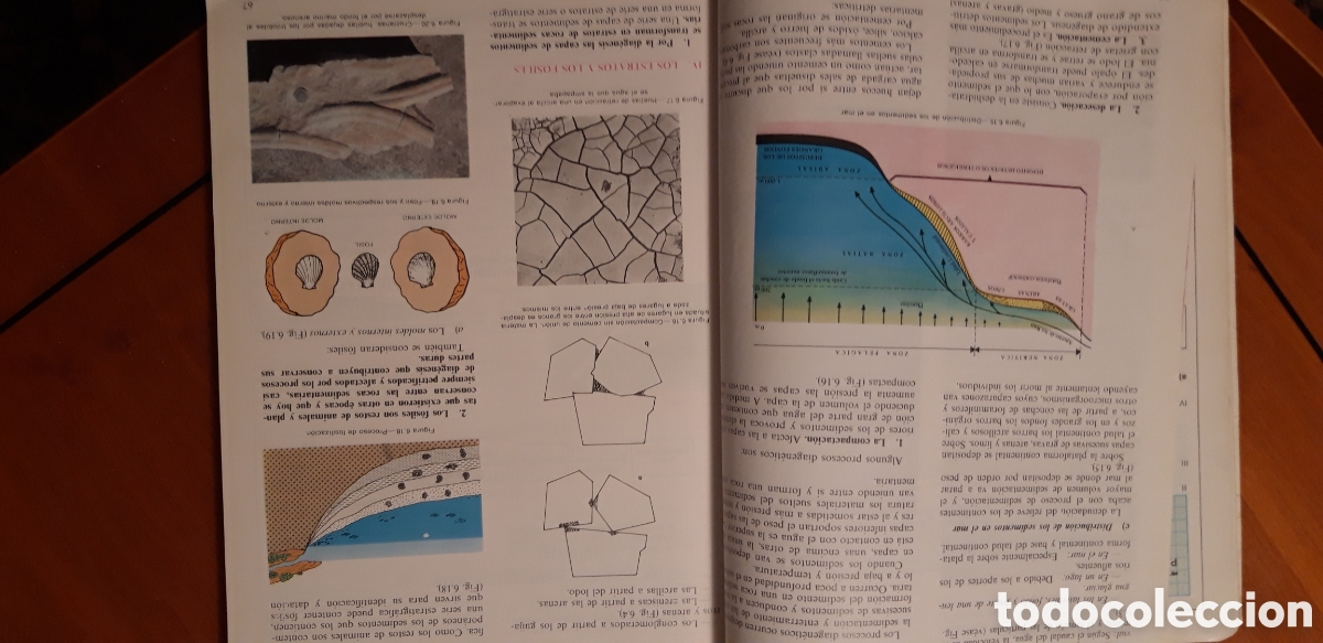 Libros de segunda mano: CIENCIAS NATURALES - 1 BUP - ECIR - Foto 10