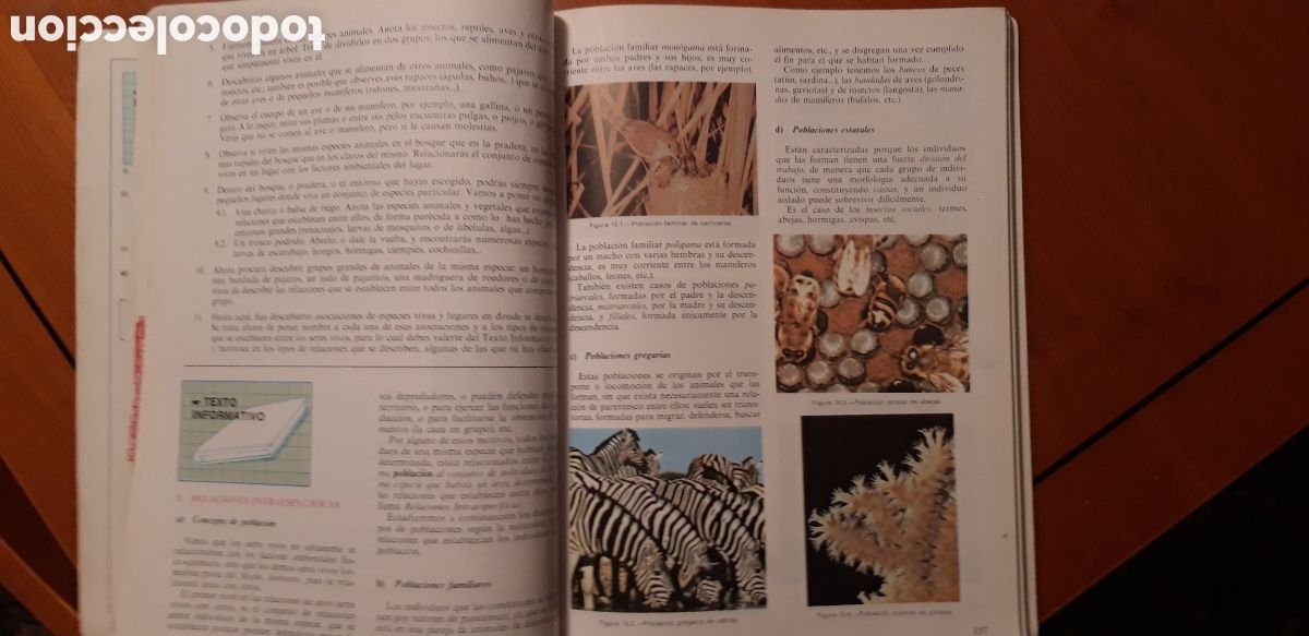 Libros de segunda mano: CIENCIAS NATURALES - 1 BUP - ECIR - Foto 12