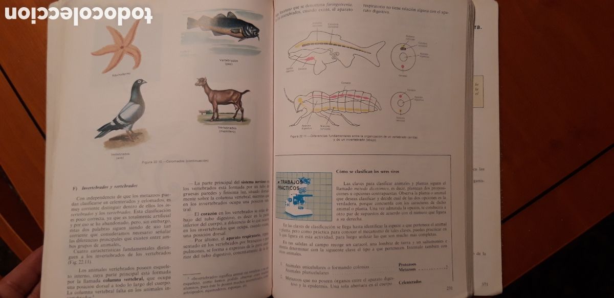 Libros de segunda mano: CIENCIAS NATURALES - 1 BUP - ECIR - Foto 14