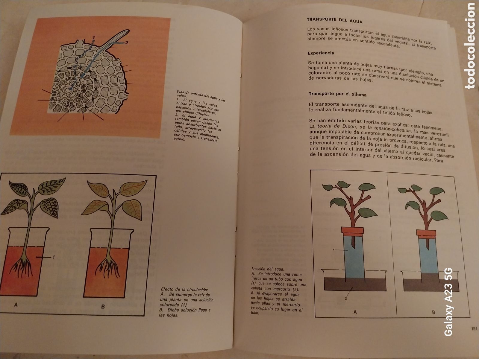 Libros de segunda mano: CIENCIAS NATURALES B.U.P 3&deg;.. S.A CASALS Y LIBRER&Iacute;A - Foto 3