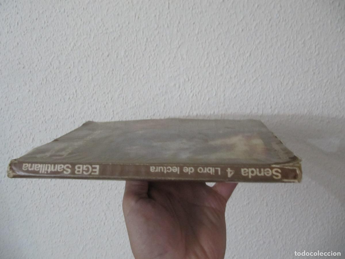 Libros de segunda mano: SENDA LIBRO DE LECTURA 4 - Foto 2