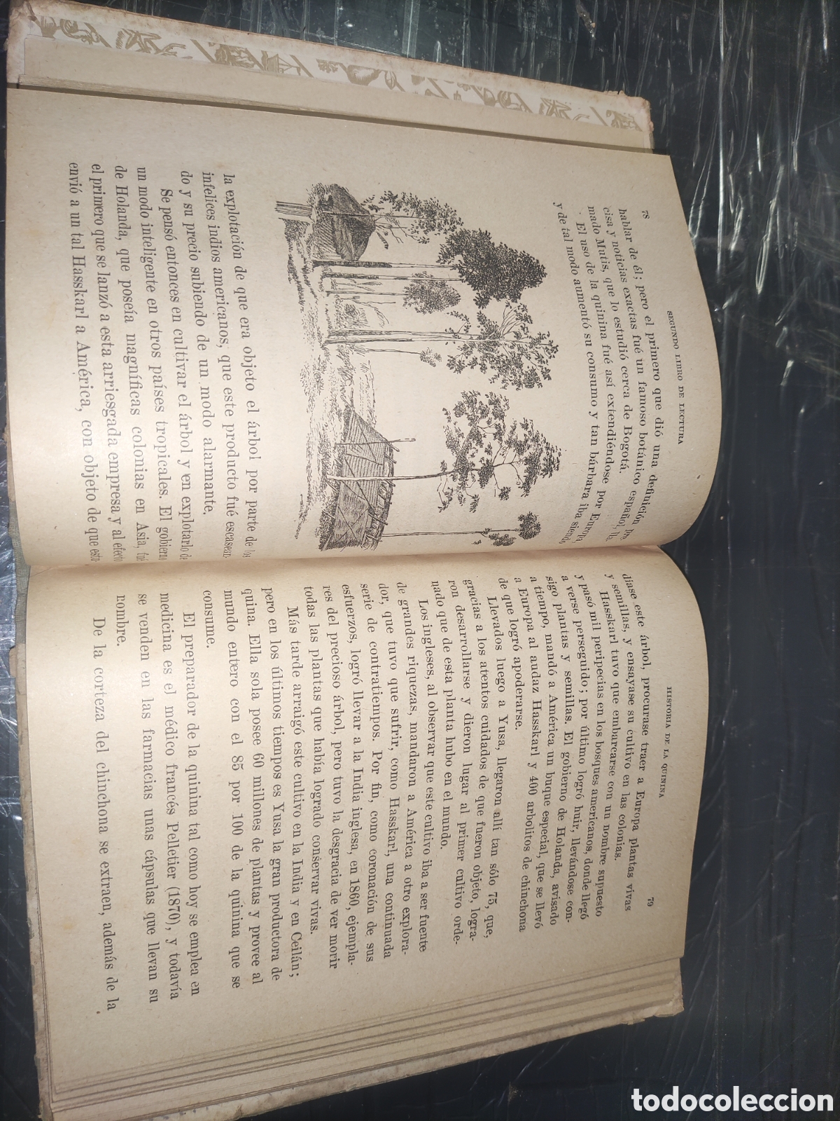 Libros de segunda mano: Segundo Libro de LECTURA. - Foto 4