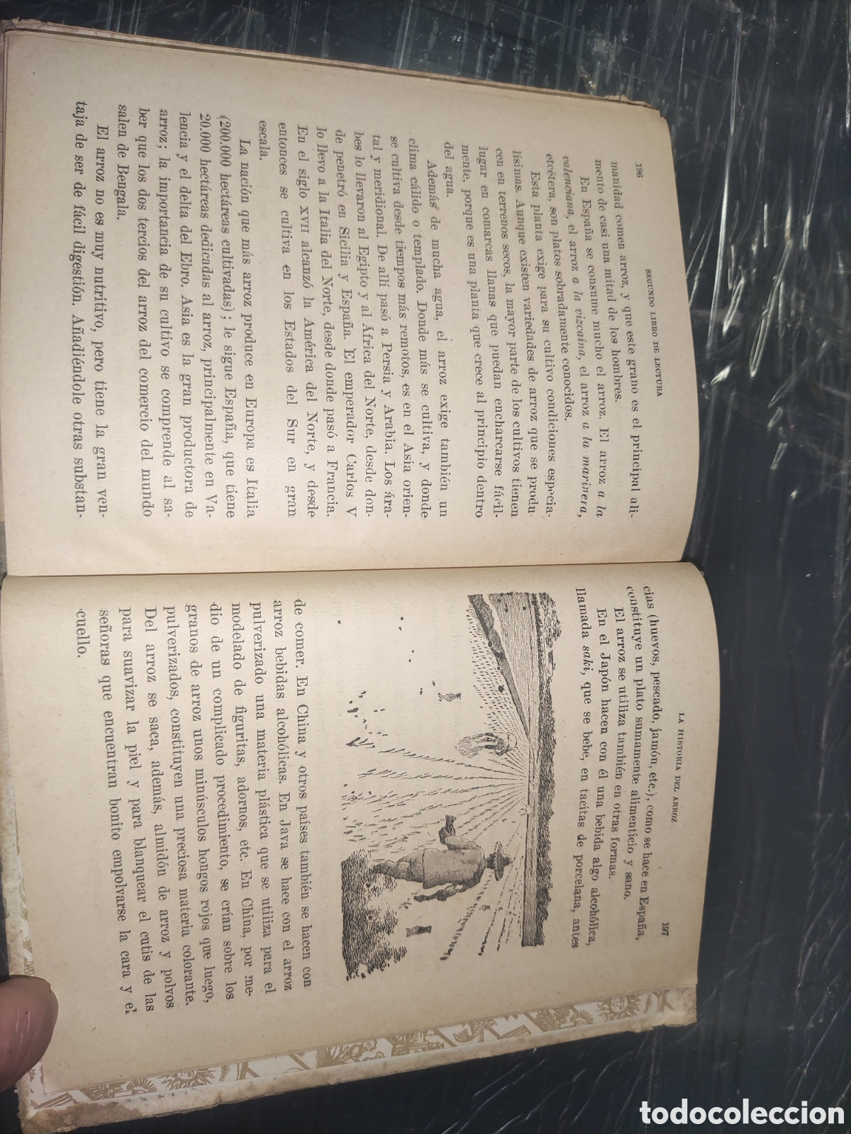 Libros de segunda mano: Segundo Libro de LECTURA. - Foto 9