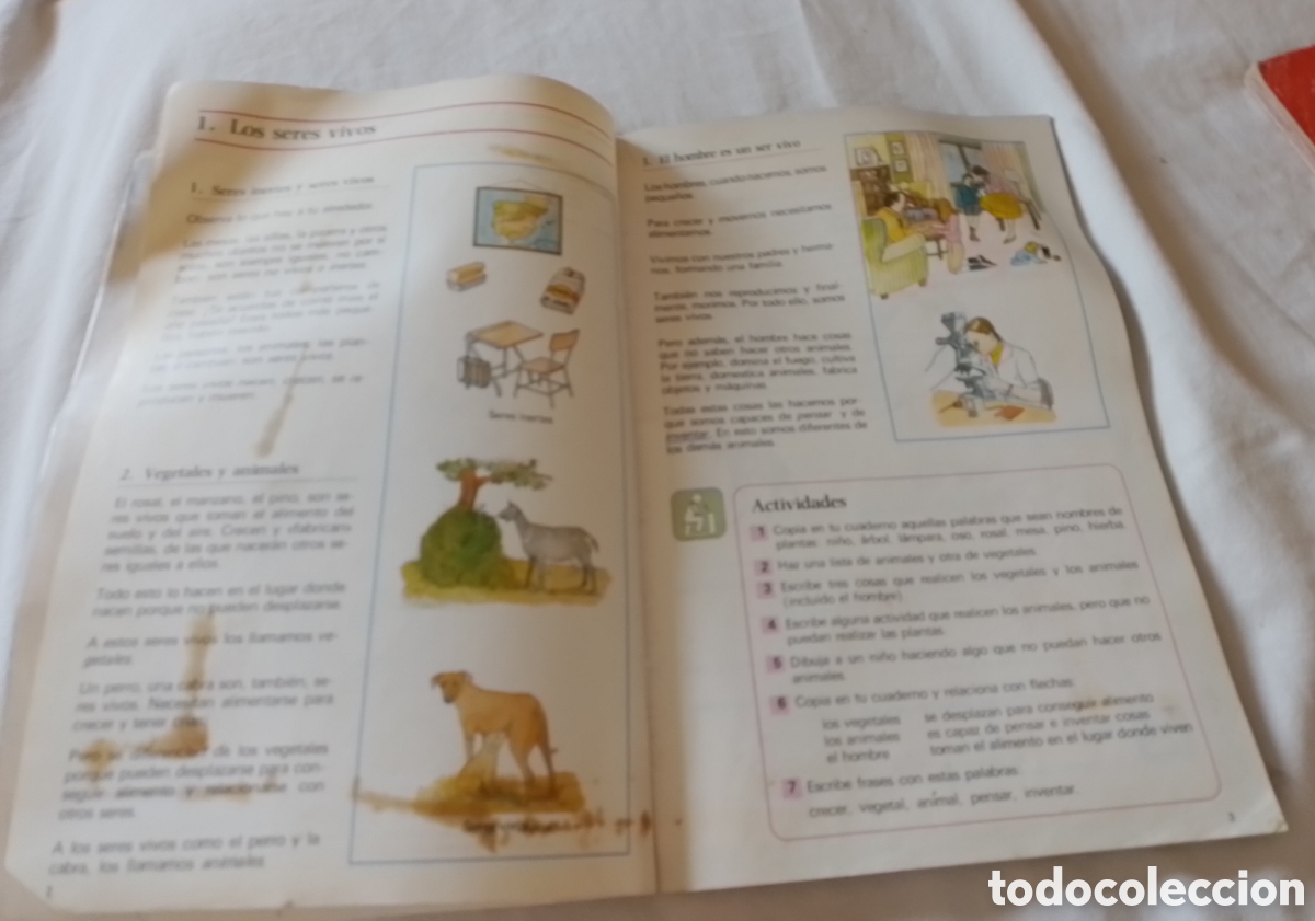 Libros de segunda mano: Ciencias naturales 3 EGB Anaya Espora - Foto 5