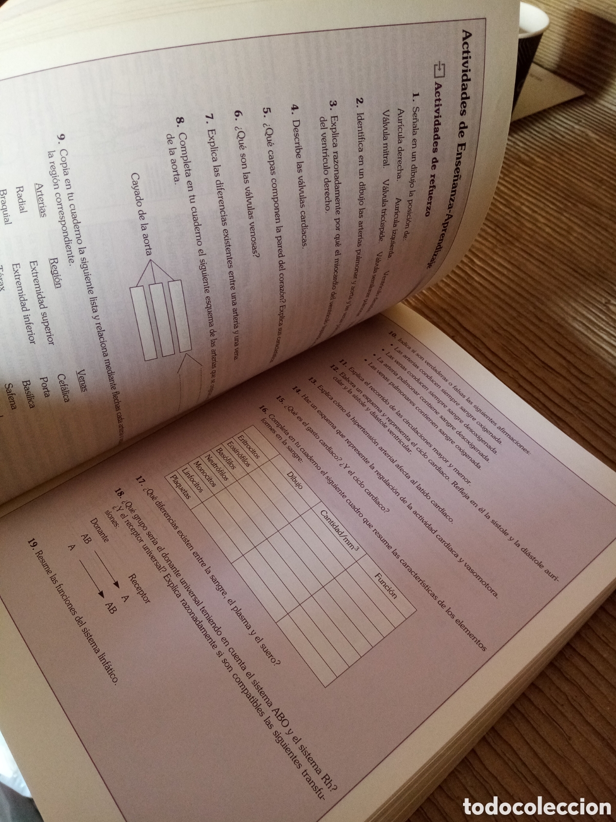 Libros de segunda mano: T&eacute;cnicas b&aacute;sicas de enfermer&iacute;a. Editex - Foto 3