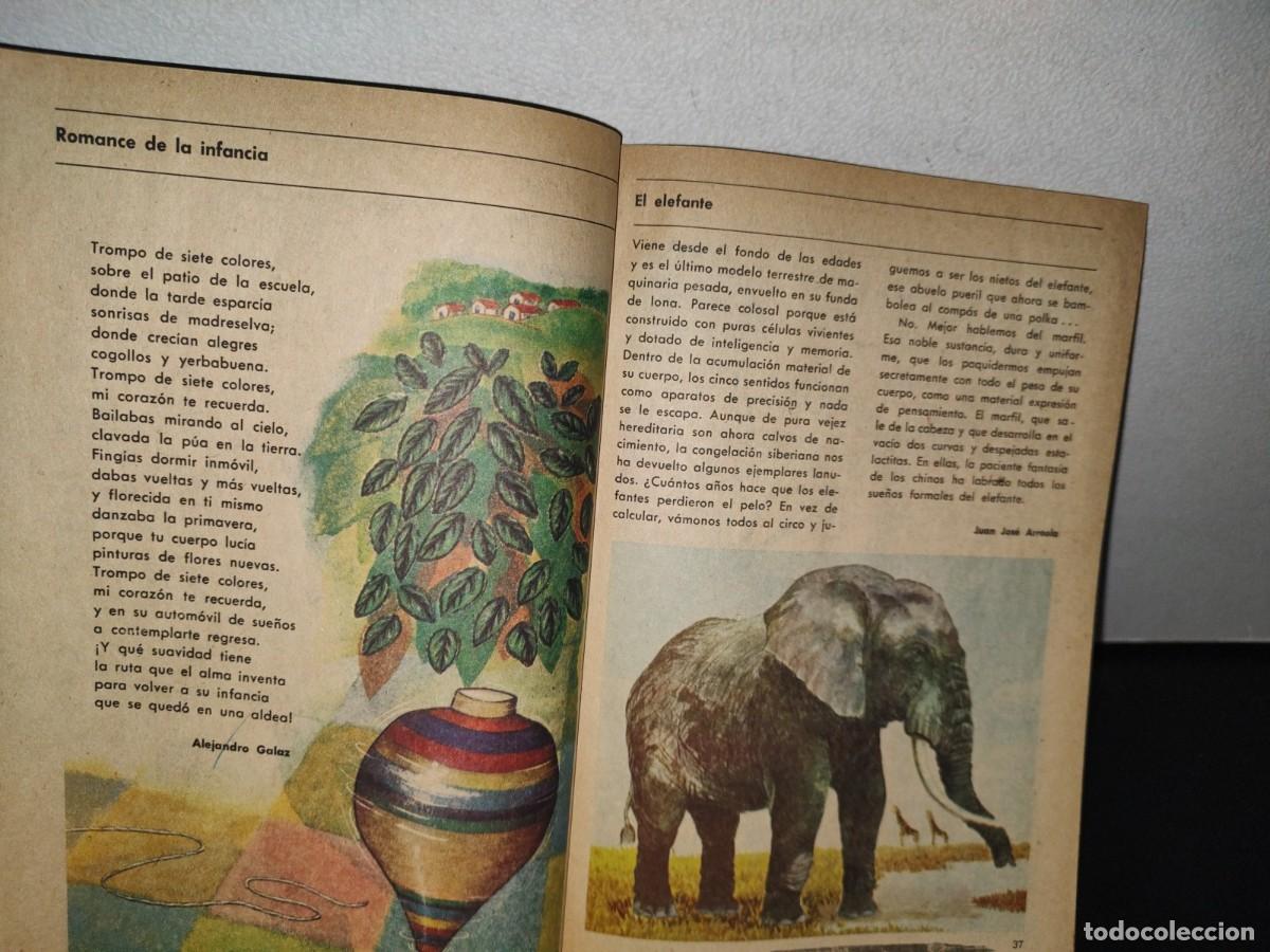Libros de segunda mano: 89- LIBRO DE PRIMARIA. SEP - ESPA&Ntilde;OL, SEXTO GRADO DE LECTURAS - 1972 - Foto 8