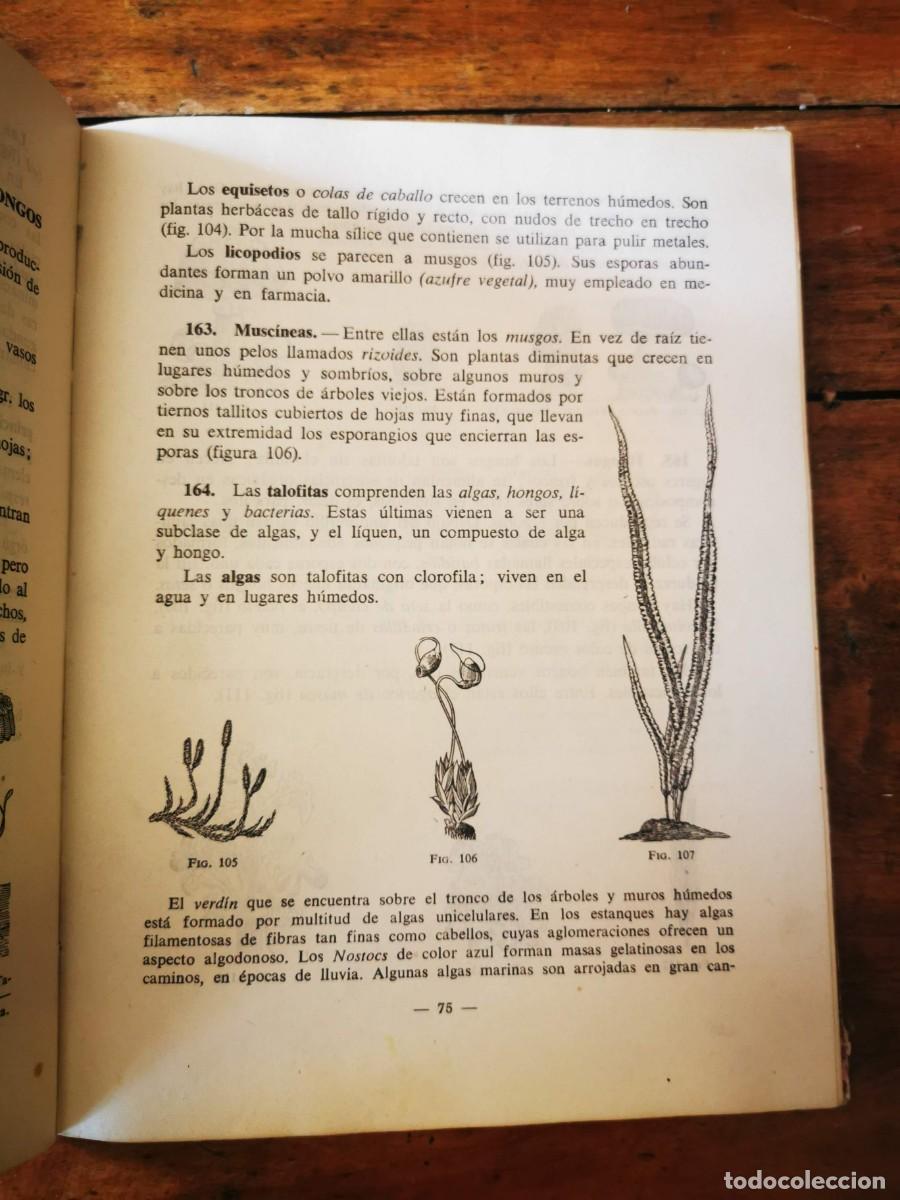 Libros de segunda mano: EDELVIVES. Ciencias naturales. Primer curso - Foto 3
