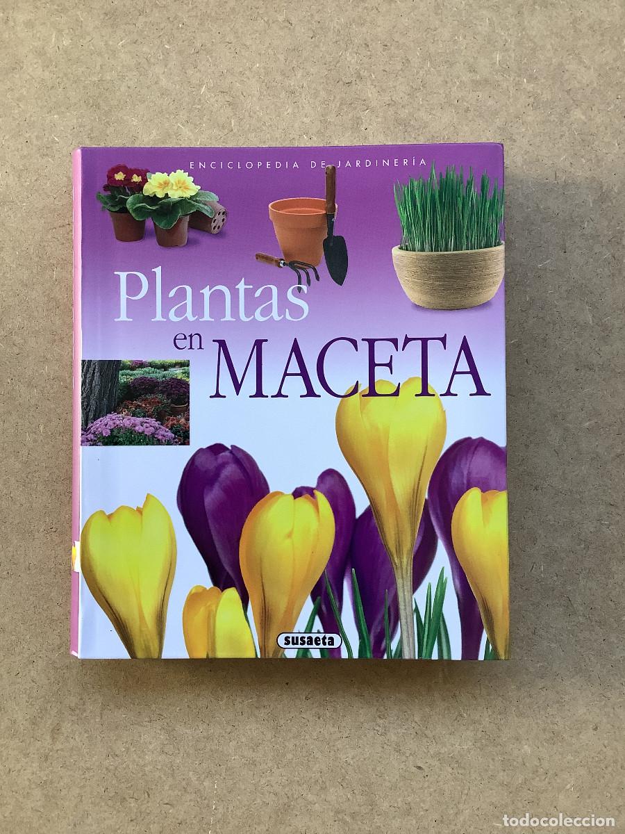 Libros de segunda mano: Plantas en maceta Echague, Jorge - Foto 1