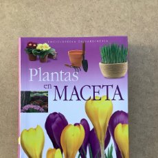 Libros de segunda mano: PLANTAS EN MACETA ECHAGUE, JORGE